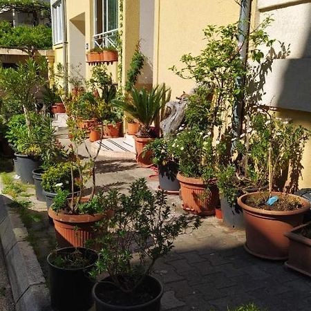 شقة Senka بودفا المظهر الخارجي الصورة